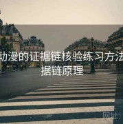 17c 动漫的证据链核验练习方法，证据链原理