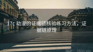 17c 动漫的证据链核验练习方法，证据链原理