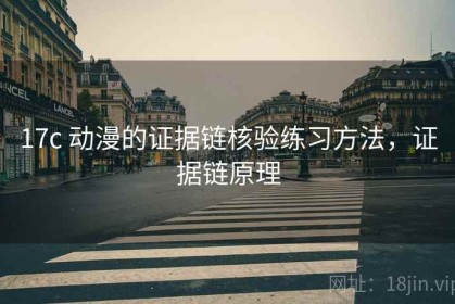 17c 动漫的证据链核验练习方法，证据链原理