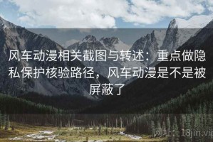 风车动漫相关截图与转述：重点做隐私保护核验路径，风车动漫是不是被屏蔽了