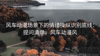风车动漫场景下的情绪操纵识别底线：提问清单，风车动漫风