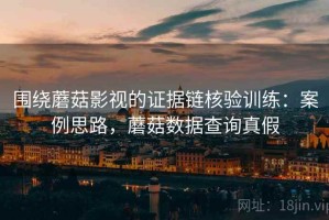 围绕蘑菇影视的证据链核验训练：案例思路，蘑菇数据查询真假