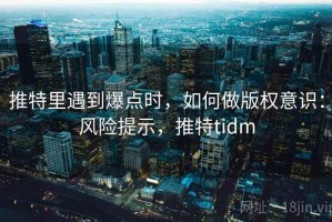 推特里遇到爆点时，如何做版权意识：风险提示，推特tidm