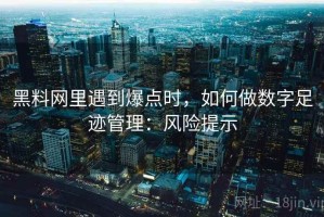 黑料网里遇到爆点时，如何做数字足迹管理：风险提示