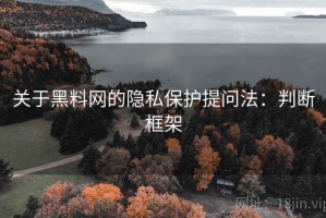 关于黑料网的隐私保护提问法：判断框架
