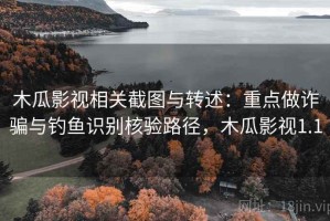木瓜影视相关截图与转述：重点做诈骗与钓鱼识别核验路径，木瓜影视1.1