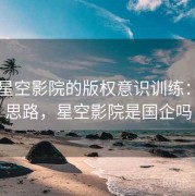 围绕星空影院的版权意识训练：案例思路，星空影院是国企吗