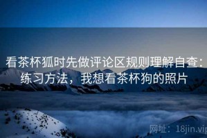 看茶杯狐时先做评论区规则理解自查：练习方法，我想看茶杯狗的照片