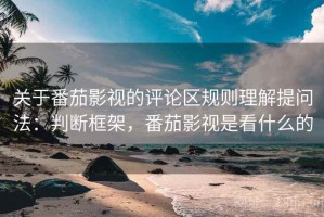 关于番茄影视的评论区规则理解提问法：判断框架，番茄影视是看什么的
