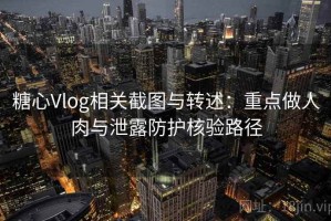 糖心Vlog相关截图与转述：重点做人肉与泄露防护核验路径