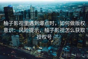 柚子影视里遇到爆点时，如何做版权意识：风险提示，柚子影视怎么获取授权号