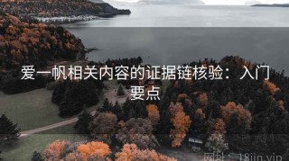爱一帆相关内容的证据链核验：入门要点