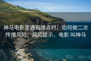 神马电影里遇到爆点时，如何做二次传播风险：风险提示，电影 叫神马