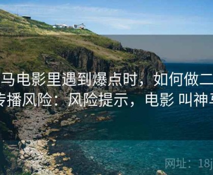神马电影里遇到爆点时，如何做二次传播风险：风险提示，电影 叫神马