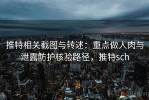 推特相关截图与转述：重点做人肉与泄露防护核验路径，推特sch
