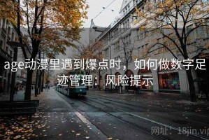 age动漫里遇到爆点时，如何做数字足迹管理：风险提示