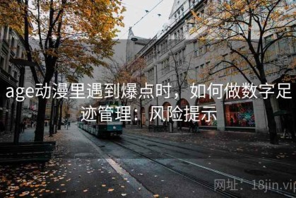 age动漫里遇到爆点时，如何做数字足迹管理：风险提示