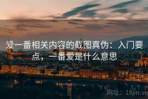 爱一番相关内容的截图真伪：入门要点，一番爱是什么意思