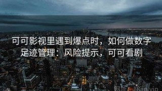 可可影视里遇到爆点时，如何做数字足迹管理：风险提示，可可看剧