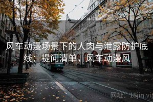 风车动漫场景下的人肉与泄露防护底线：提问清单，风车动漫风