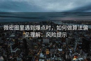 微密圈里遇到爆点时，如何做算法偏见理解：风险提示