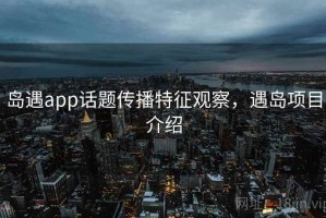 岛遇app话题传播特征观察，遇岛项目介绍