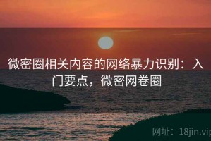 微密圈相关内容的网络暴力识别：入门要点，微密网卷圈