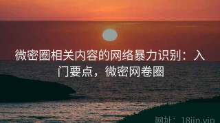 微密圈相关内容的网络暴力识别：入门要点，微密网卷圈