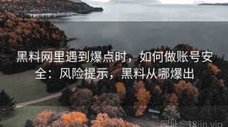 黑料网里遇到爆点时，如何做账号安全：风险提示，黑料从哪爆出