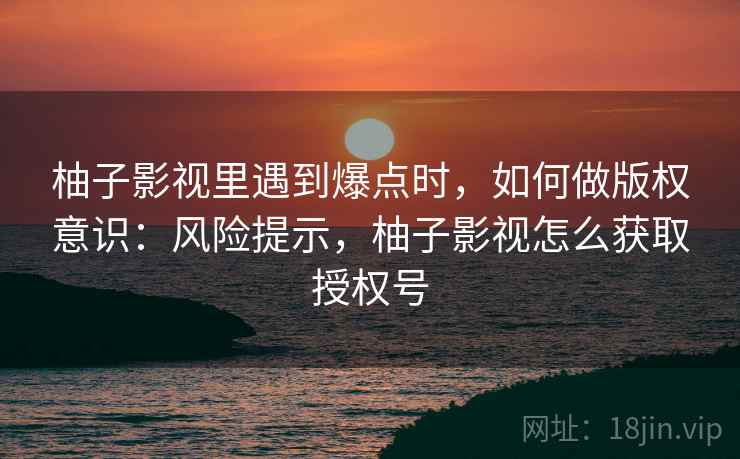 柚子影视里遇到爆点时,如何做版权意识:风险提示,柚子影视怎么获取授权号 柚子影视里遇到爆点时,如何做版权意识:风险提示,柚子影视怎么获取授权号