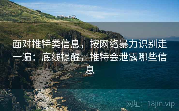 面对推特类信息，按网络暴力识别走一遍：底线提醒，推特会泄露哪些信息