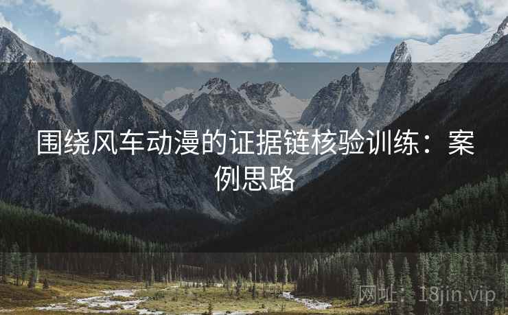 围绕风车动漫的证据链核验训练：案例思路