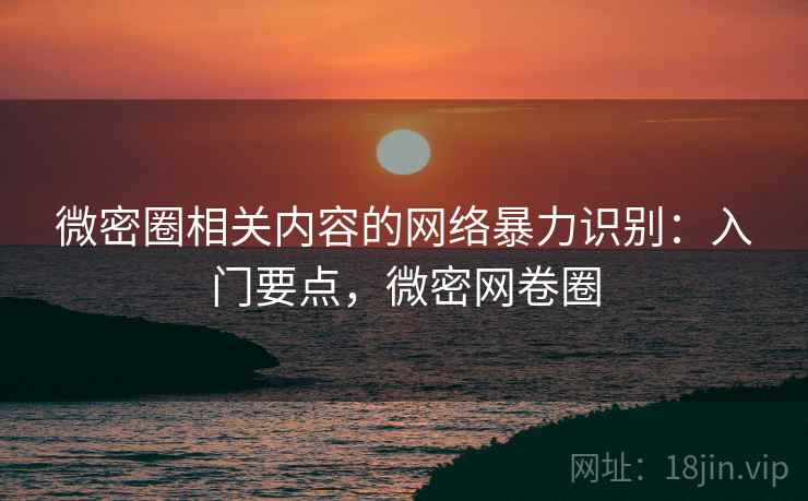 微密圈相关内容的网络暴力识别：入门要点，微密网卷圈