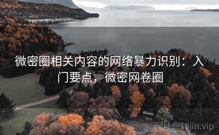 微密圈相关内容的网络暴力识别：入门要点，微密网卷圈