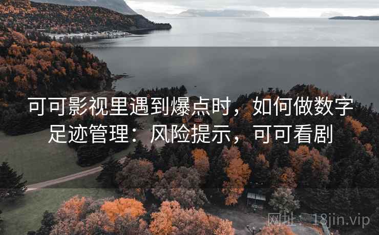 可可影视里遇到爆点时，如何做数字足迹管理：风险提示，可可看剧