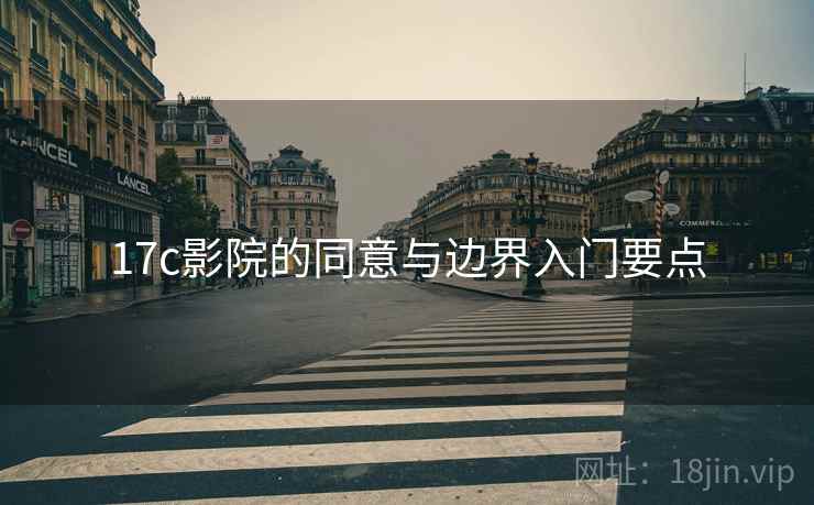 17c影院的同意与边界入门要点