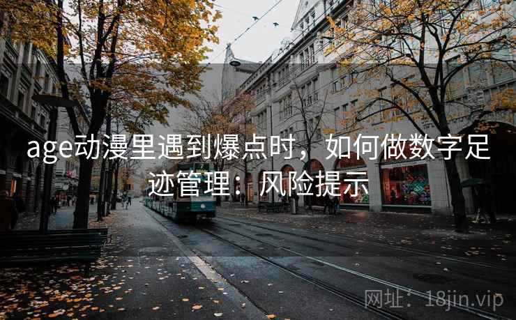 age动漫里遇到爆点时,如何做数字足迹管理:风险提示 age动漫里遇到爆点时,如何做数字足迹管理:风险提示